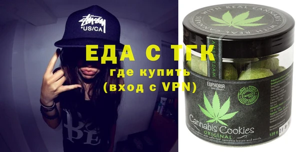 гашик Новозыбков
