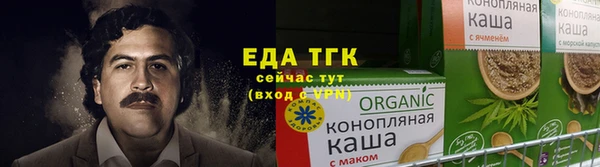 гашик Новозыбков