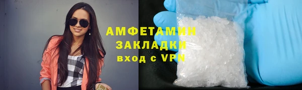 гашик Новозыбков