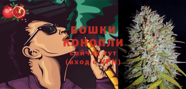дживик Киренск