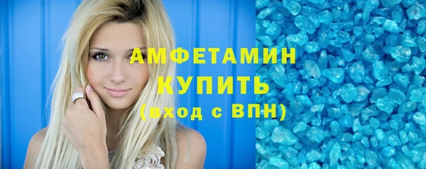 гашик Новозыбков