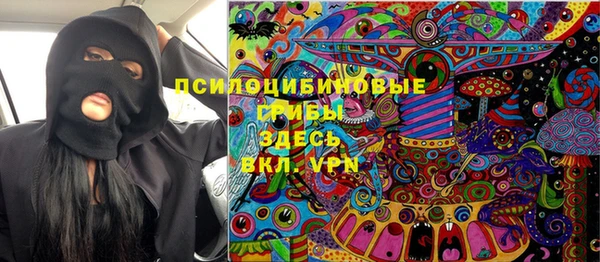 гашик Новозыбков