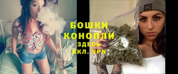 каннабис Новодвинск