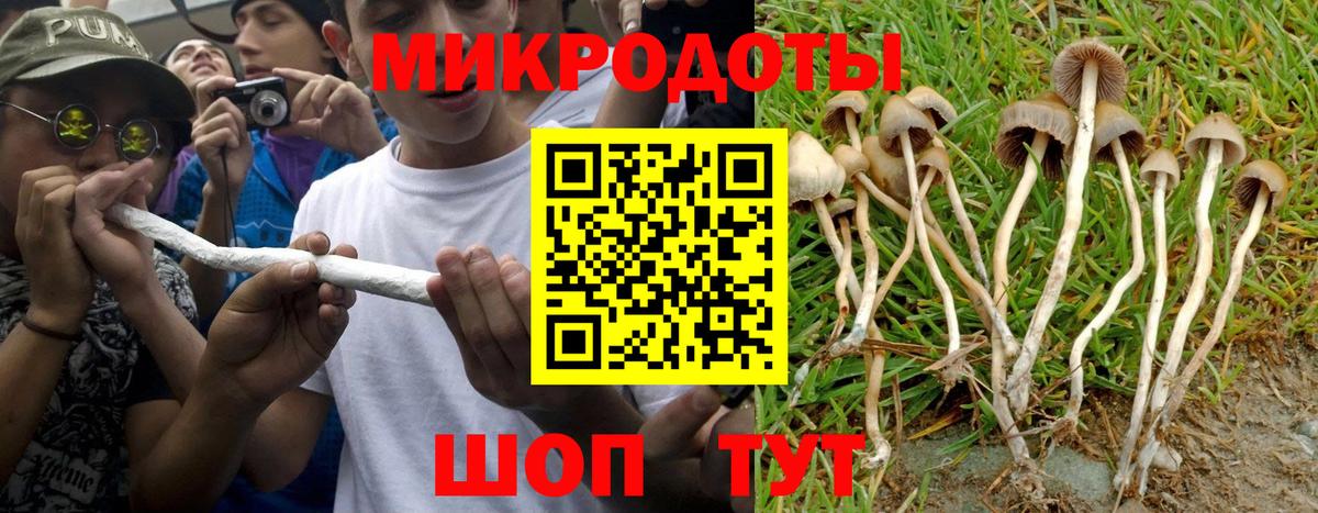 Псилоцибиновые грибы GOLDEN TEACHER Кимры