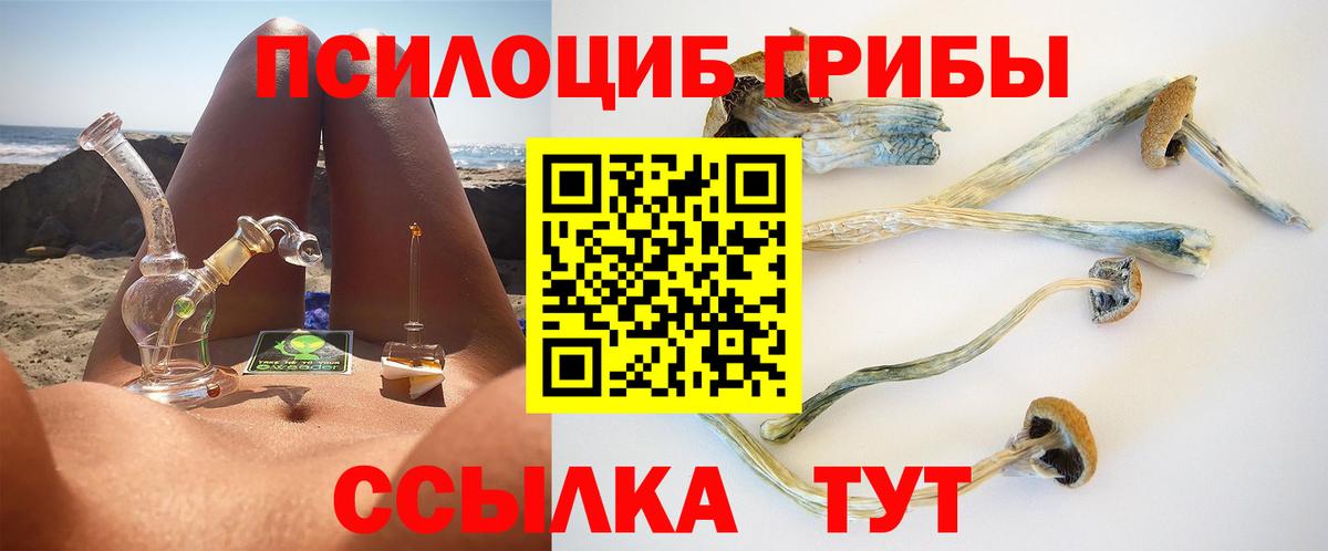 Псилоцибиновые грибы Psilocybe  купить наркотик  Кимры  Вход с VPN  Галлюциногенные грибы ЛСД 