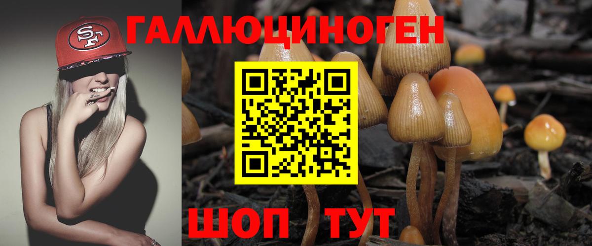 Галлюциногенные грибы Cubensis Кимры