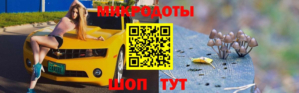 Галлюциногенные грибы Cubensis  Кимры 